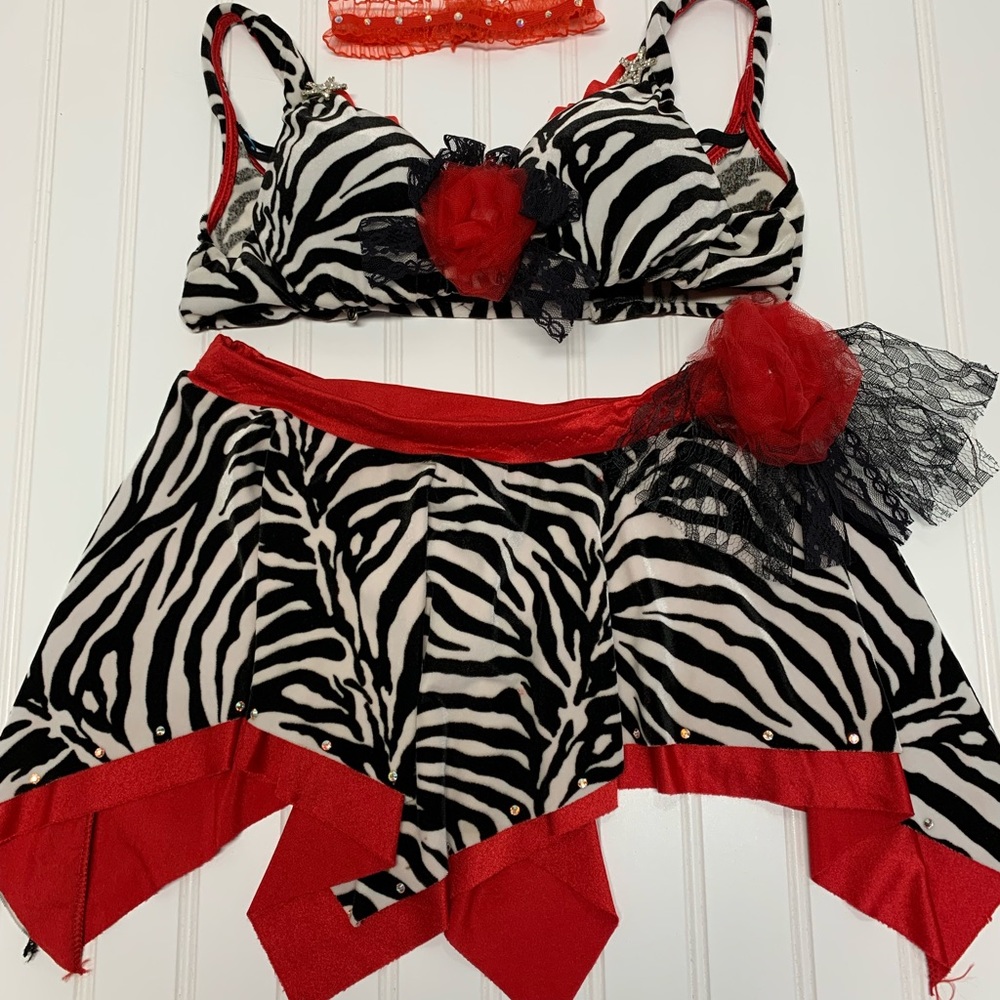 Zebra Velour Red Accents 2 pc Solo Dance Costume 32A XS Child Large